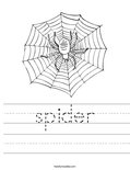 spider Worksheet