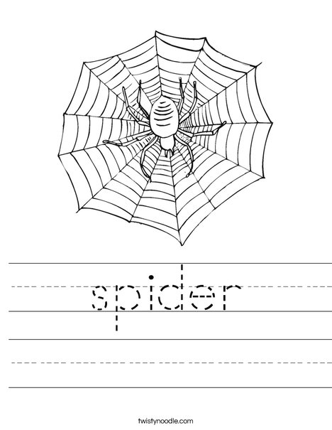 Spider with Web Worksheet
