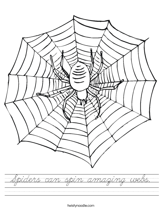 Spiders can spin amazing webs. Worksheet