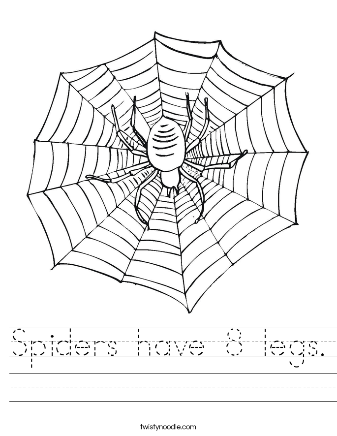 Spiders have 8 legs Worksheet Twisty Noodle