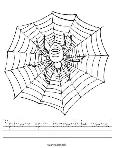 Spider spinning online web