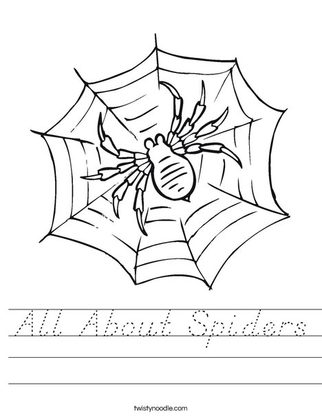 Spider in Web Worksheet