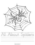All About Spiders Worksheet