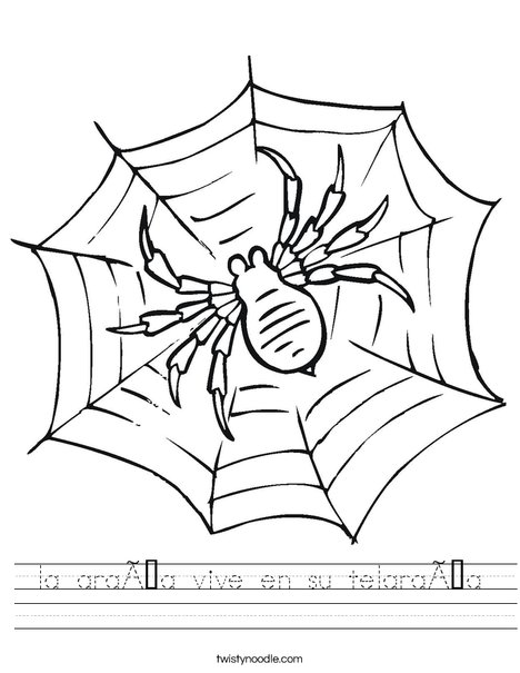 Spider in Web Worksheet