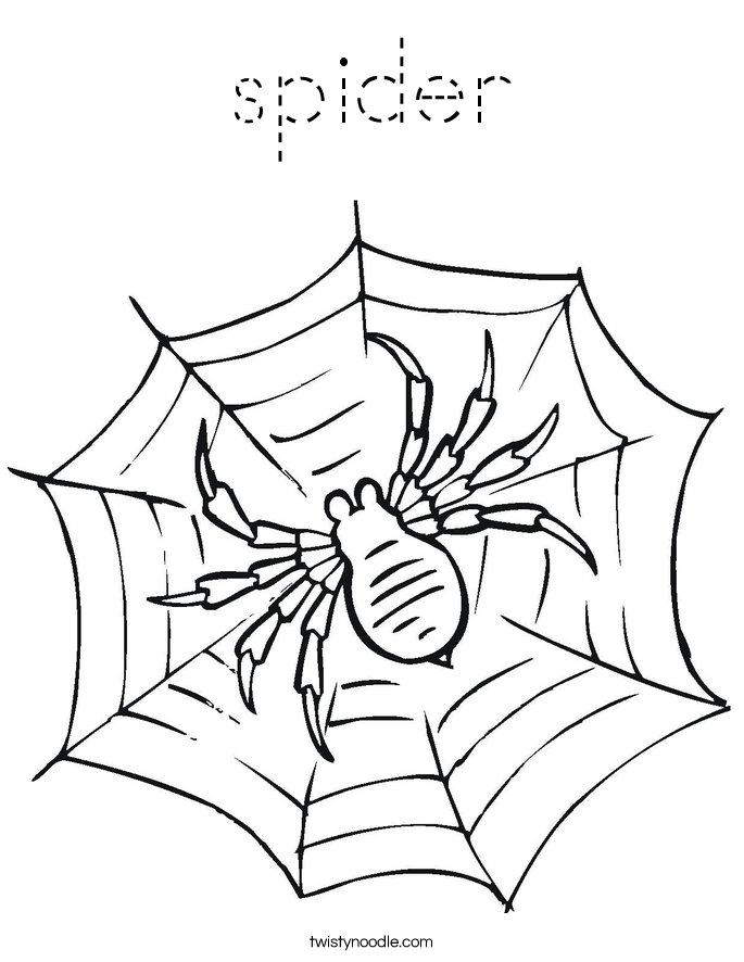 spider Coloring Page