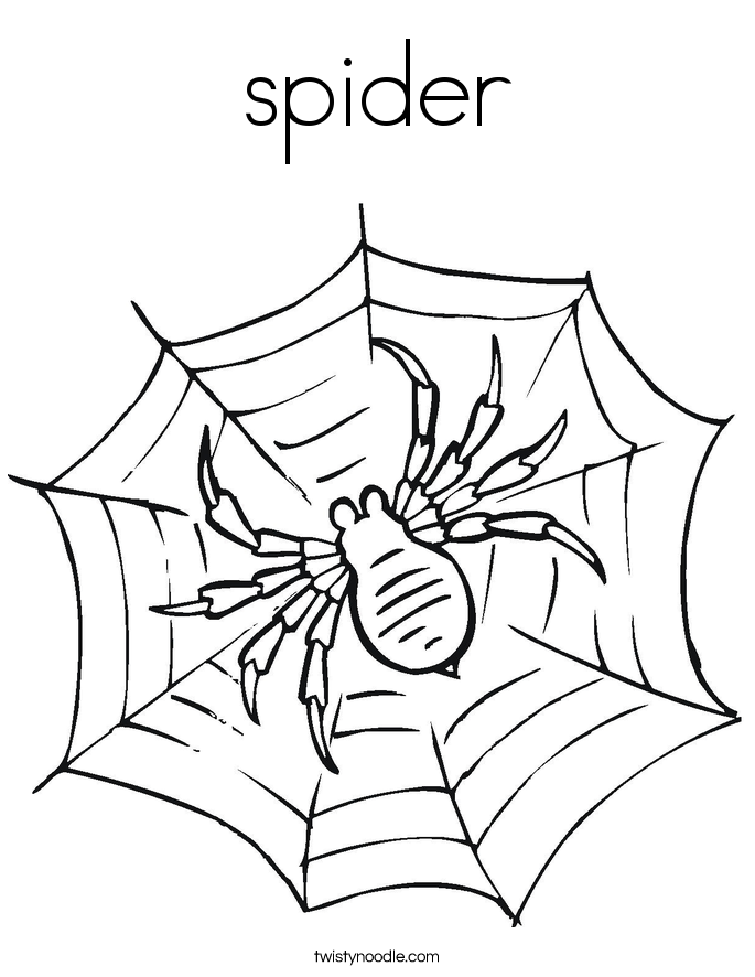 spider Coloring Page