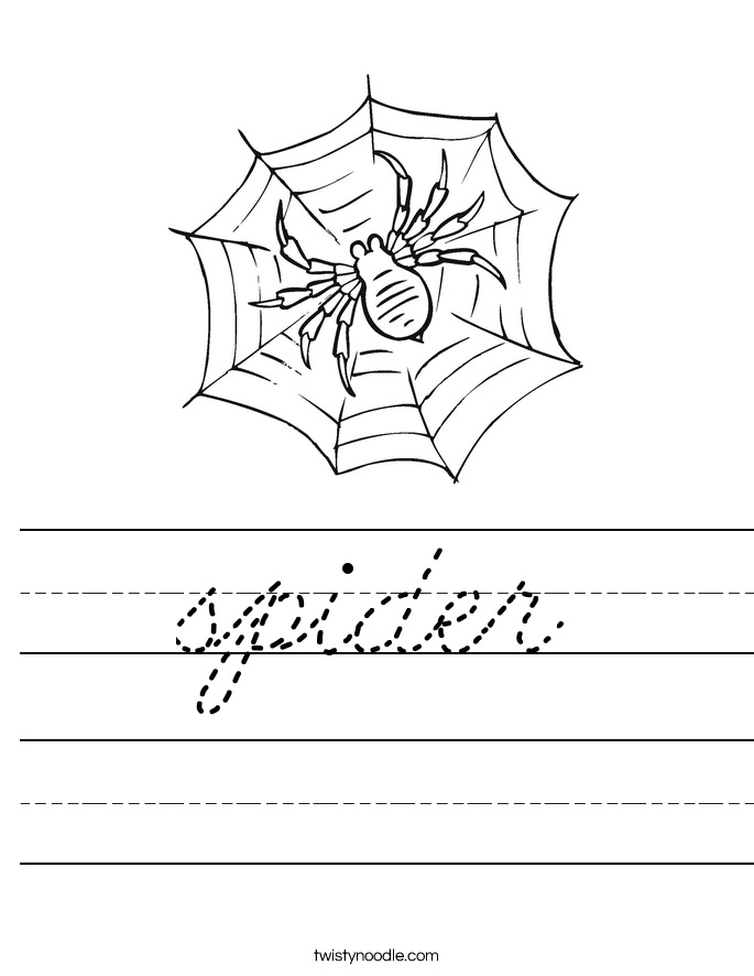 spider Worksheet