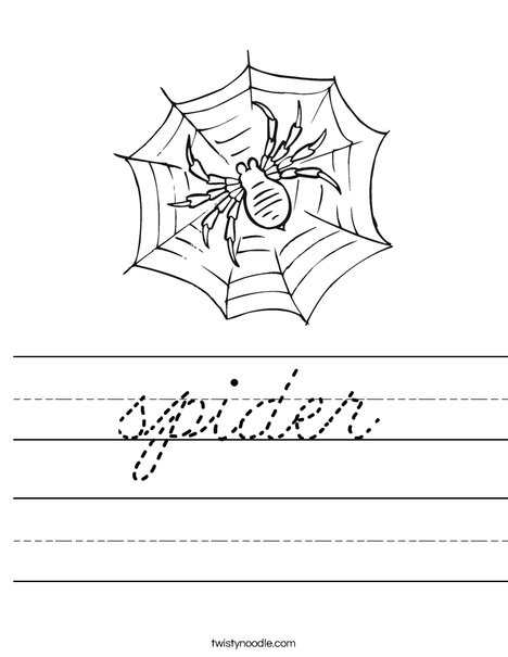 Spider in Web Worksheet