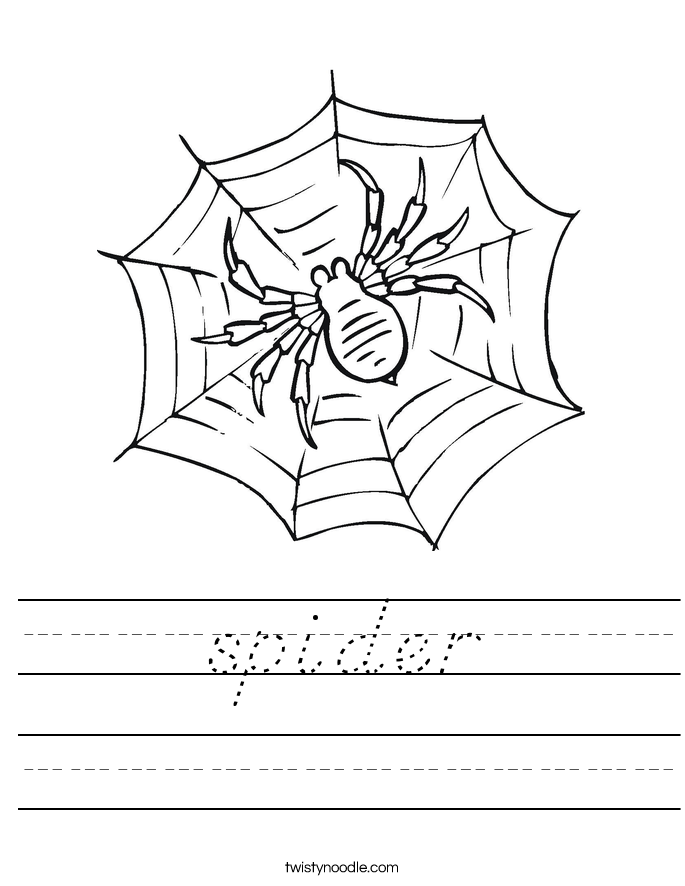 spider Worksheet