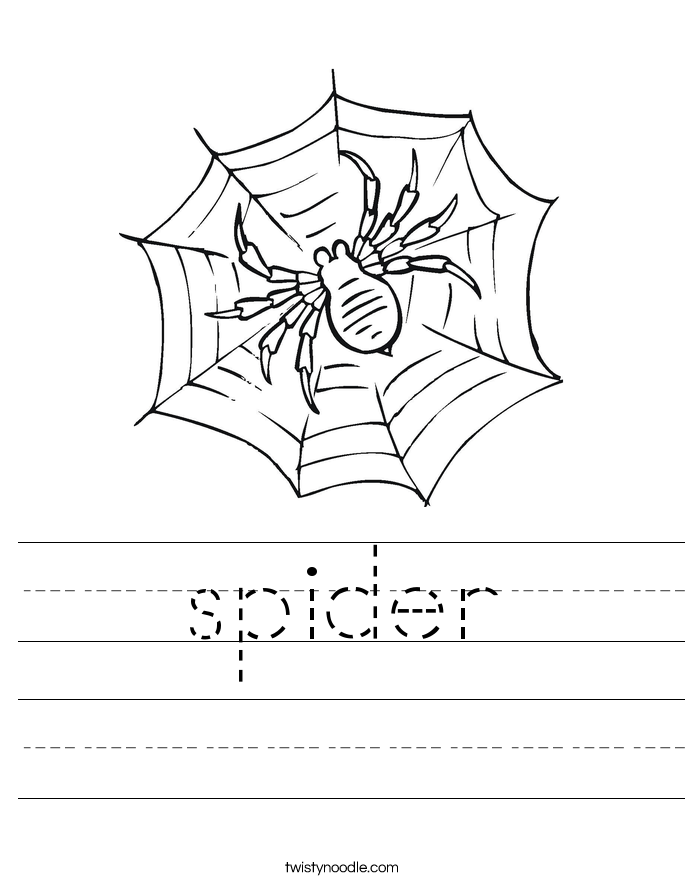 spider Worksheet