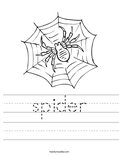 spider Worksheet