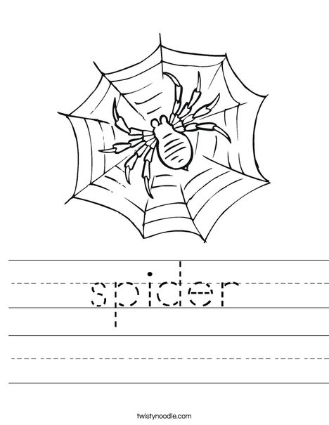 Spider in Web Worksheet