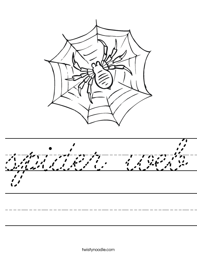 spider web Worksheet