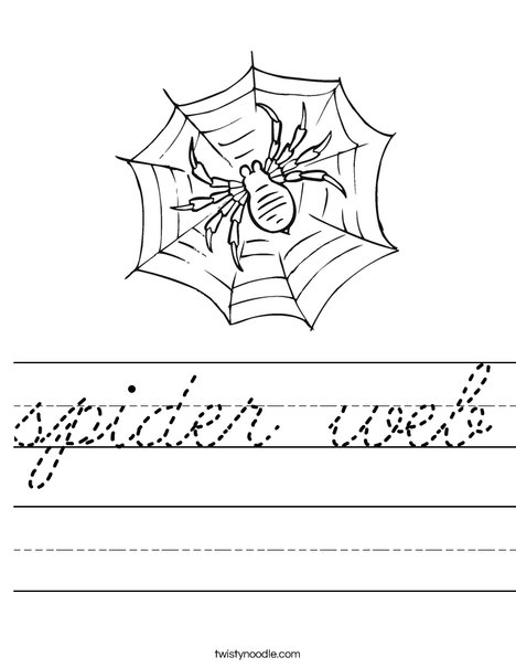 Spider in Web Worksheet