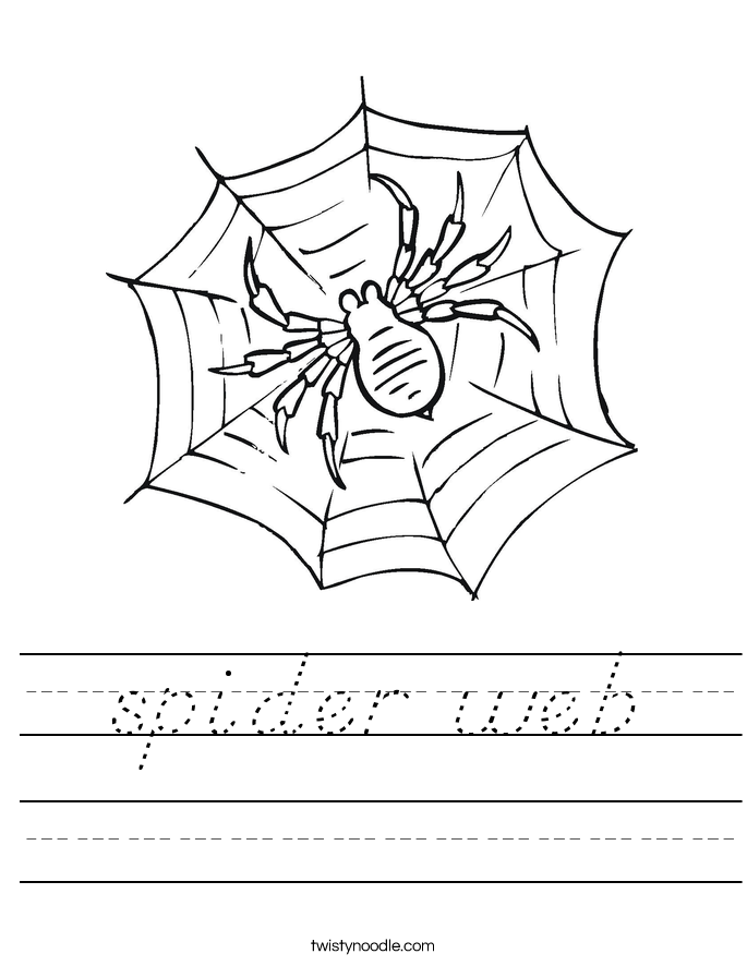 spider web Worksheet