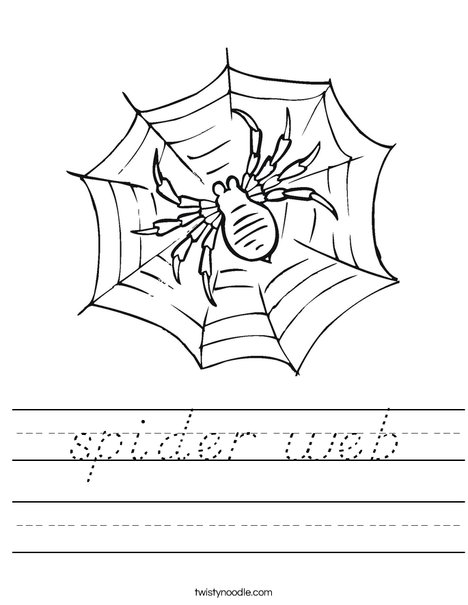 Spider in Web Worksheet