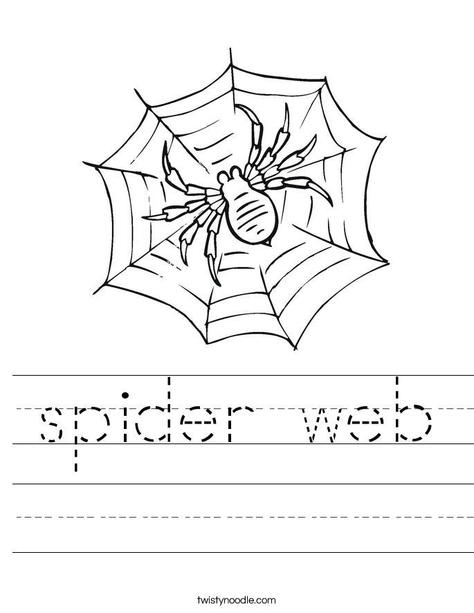 spider web Worksheet