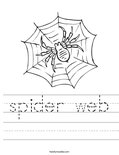 spider web Worksheet