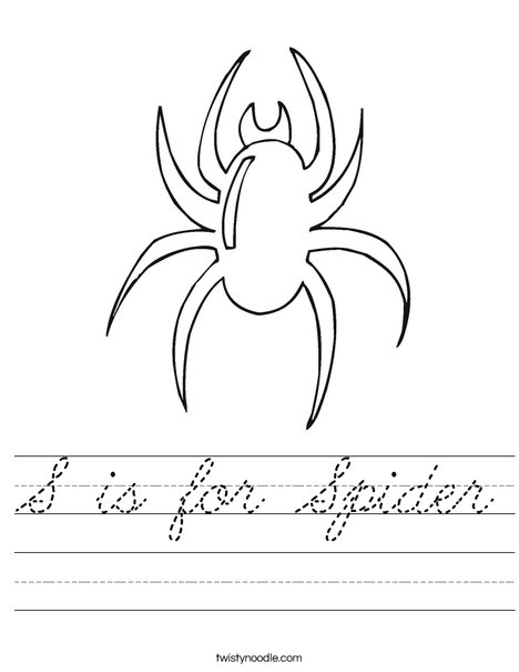 Blank Spider Worksheet