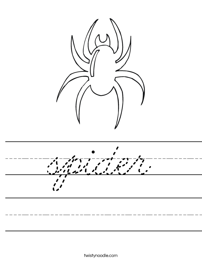 spider Worksheet