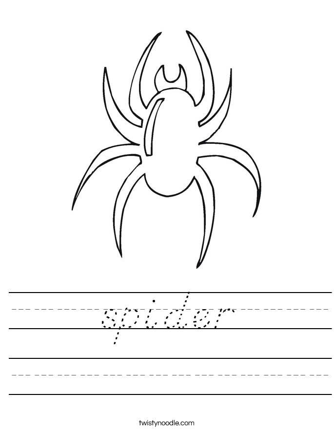 spider Worksheet