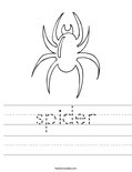 spider Worksheet