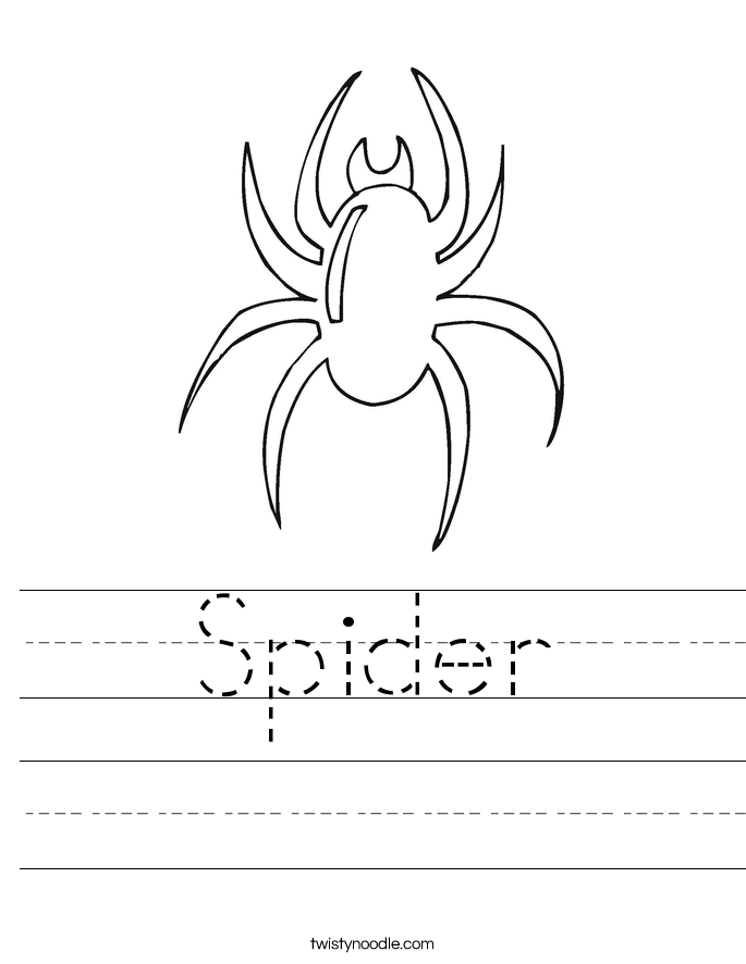 Spider Worksheet