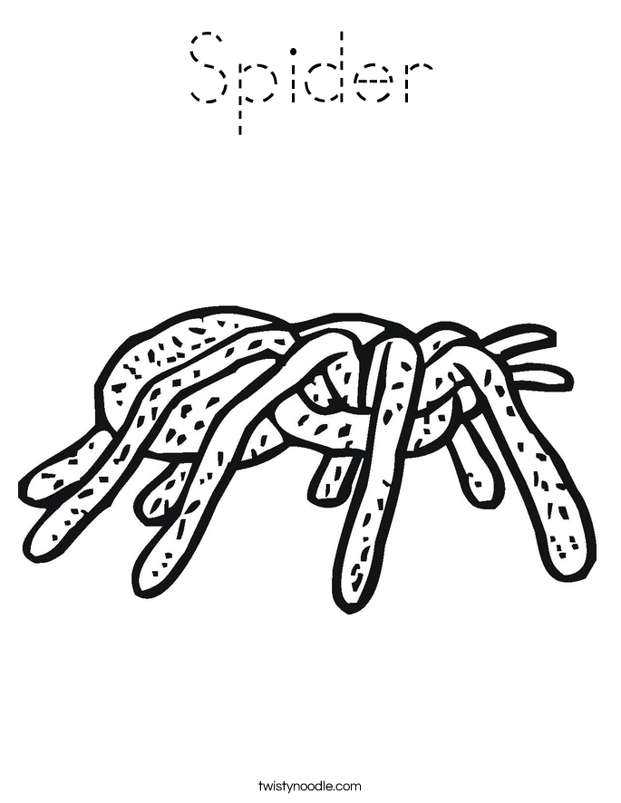 Spider Coloring Page