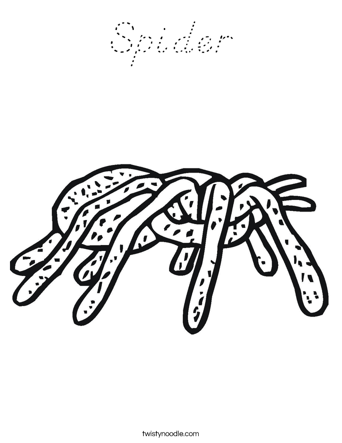 Spider Coloring Page