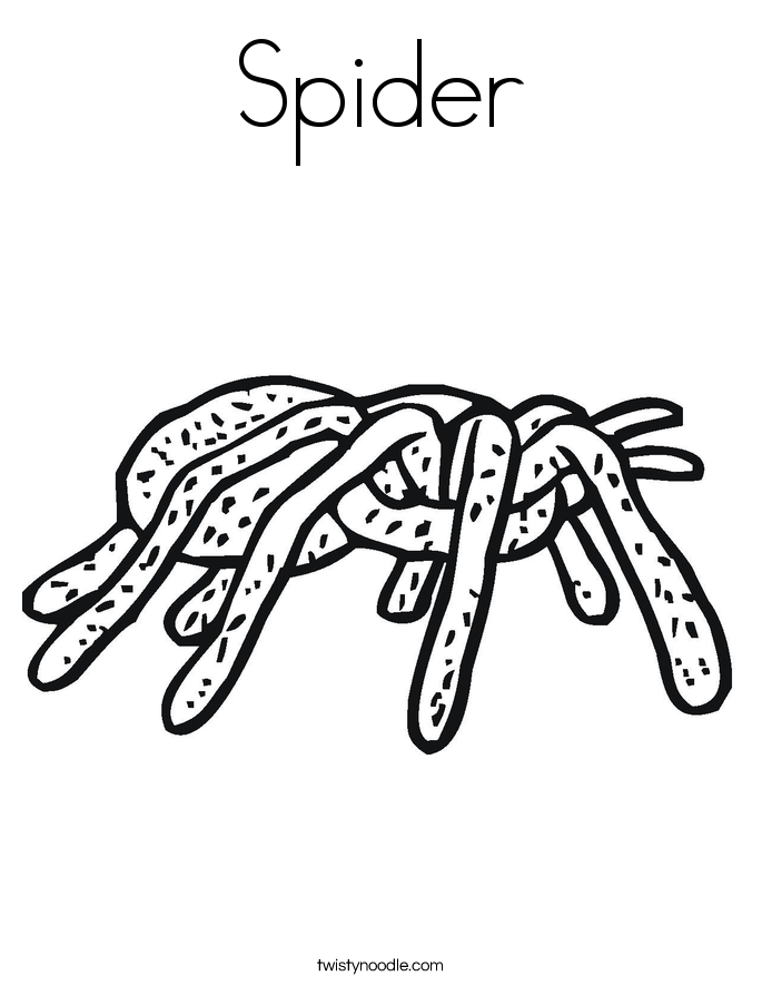 Spider Coloring Page