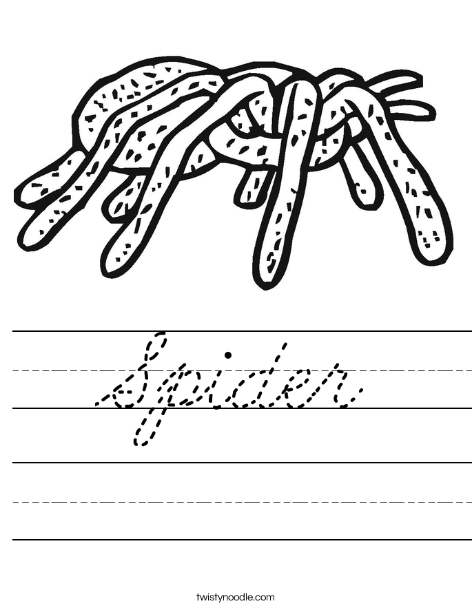 Spider Worksheet