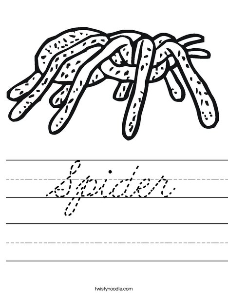 Tarantula Worksheet