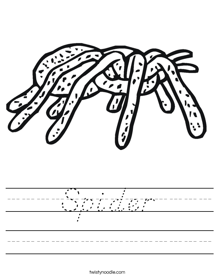 Spider Worksheet