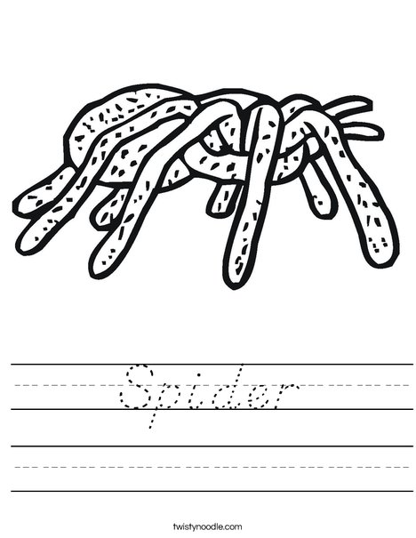 Tarantula Worksheet