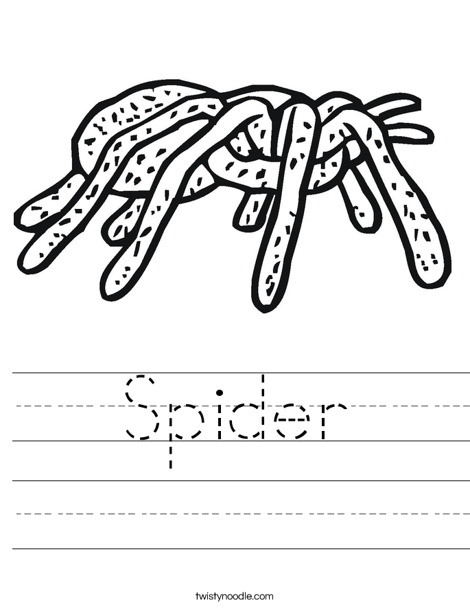 Spider Worksheet - Twisty Noodle