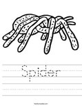 Spider Worksheet