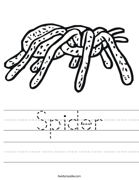 Tarantula Worksheet