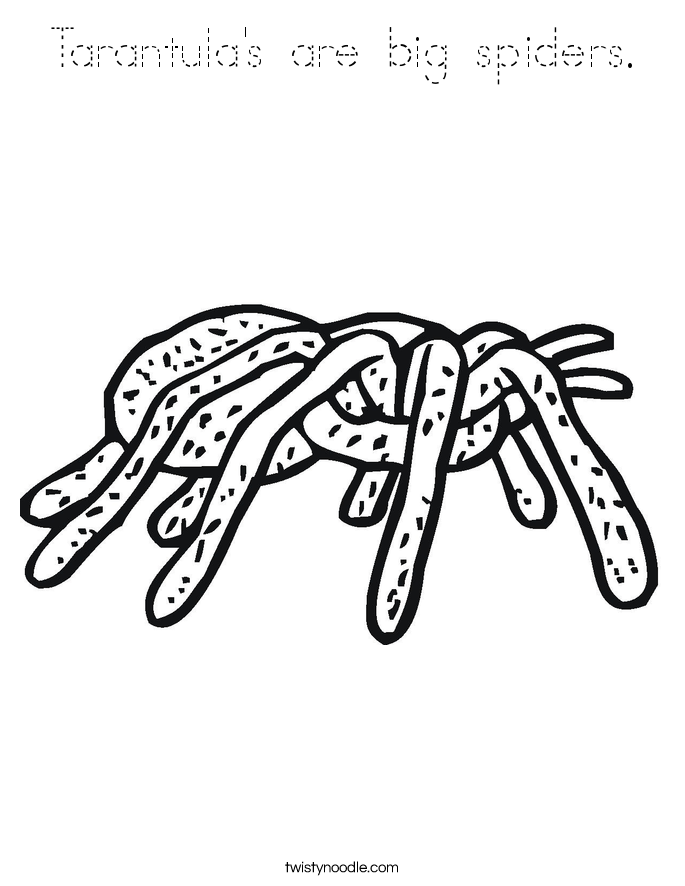 Tarantula's are big spiders. Coloring Page
