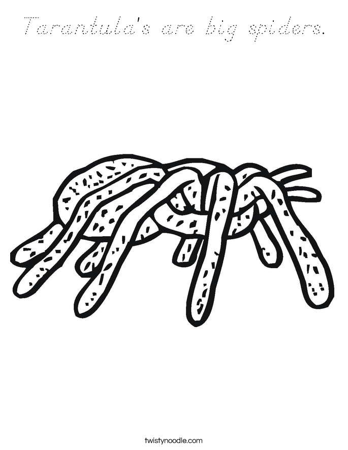 Tarantula's are big spiders. Coloring Page