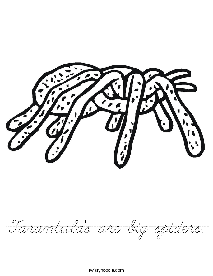 Tarantula's are big spiders. Worksheet