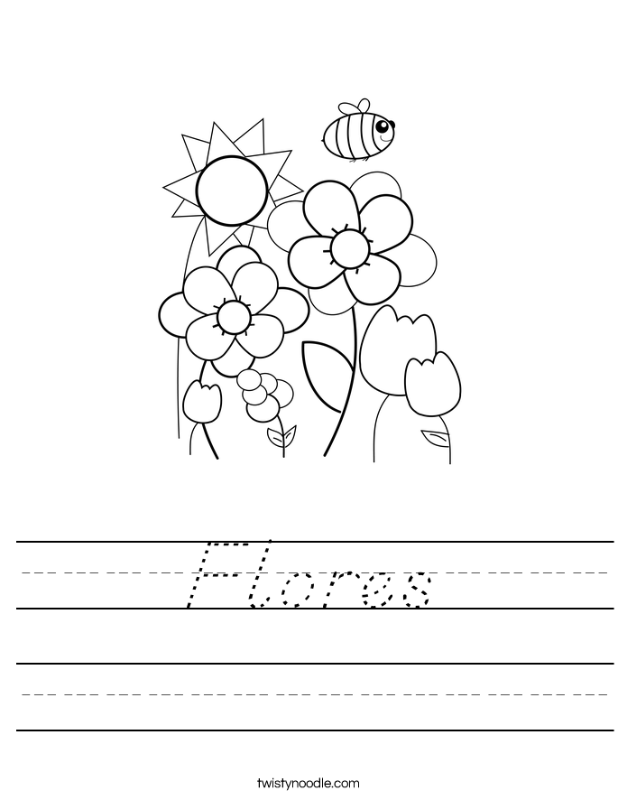 Flores Worksheet