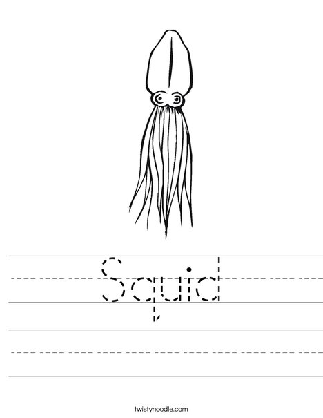 Squid Worksheet