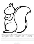 Squirrels Gather Nuts Worksheet