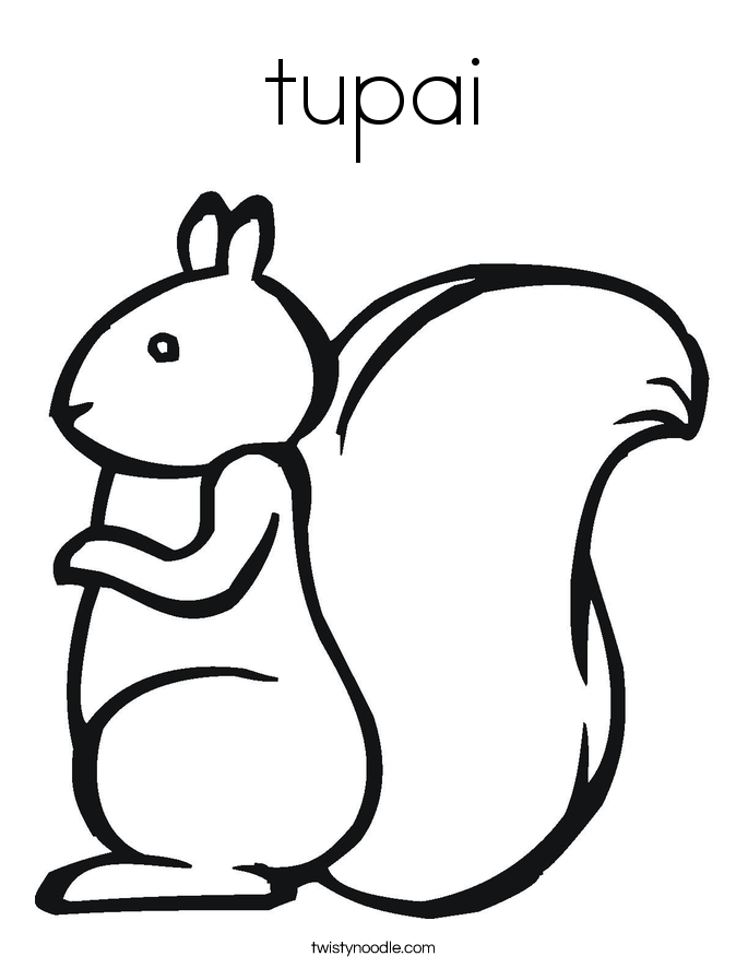 tupai Coloring Page - Twisty Noodle