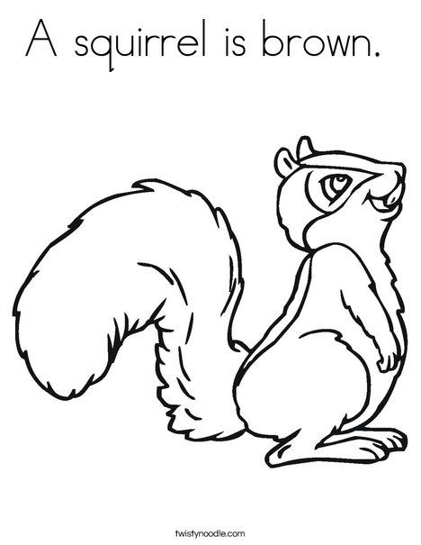 Squirrel with Bushy Tail Coloring Page