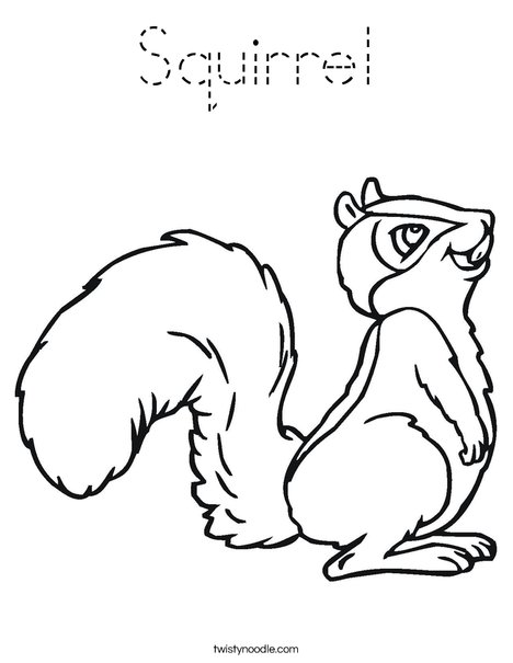 Squirrel with Bushy Tail Coloring Page