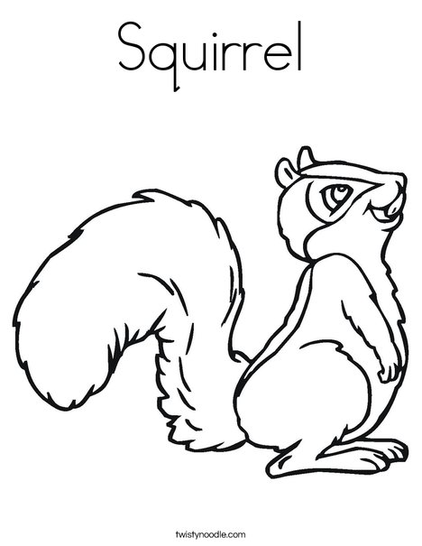Squirrel with Bushy Tail Coloring Page