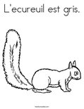L'ecureuil est gris. Coloring Page
