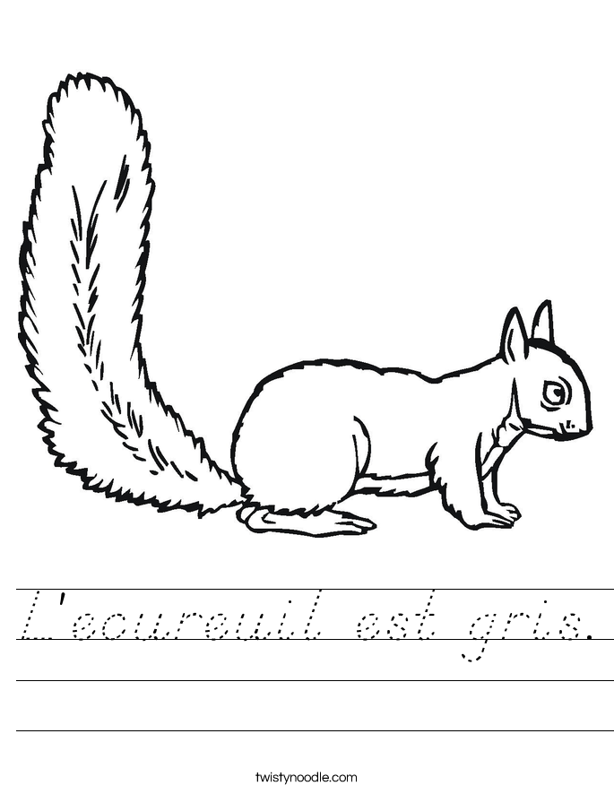 L'ecureuil est gris. Worksheet