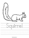 Squirrel Worksheet